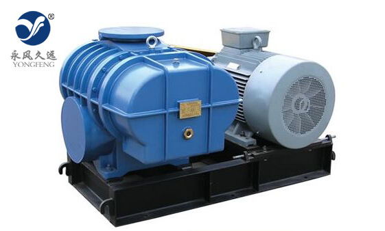 L系列兩葉羅茨鼓風(fēng)機